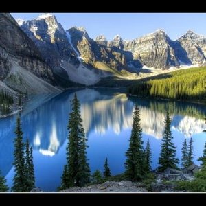 Meet your Posher, Maya